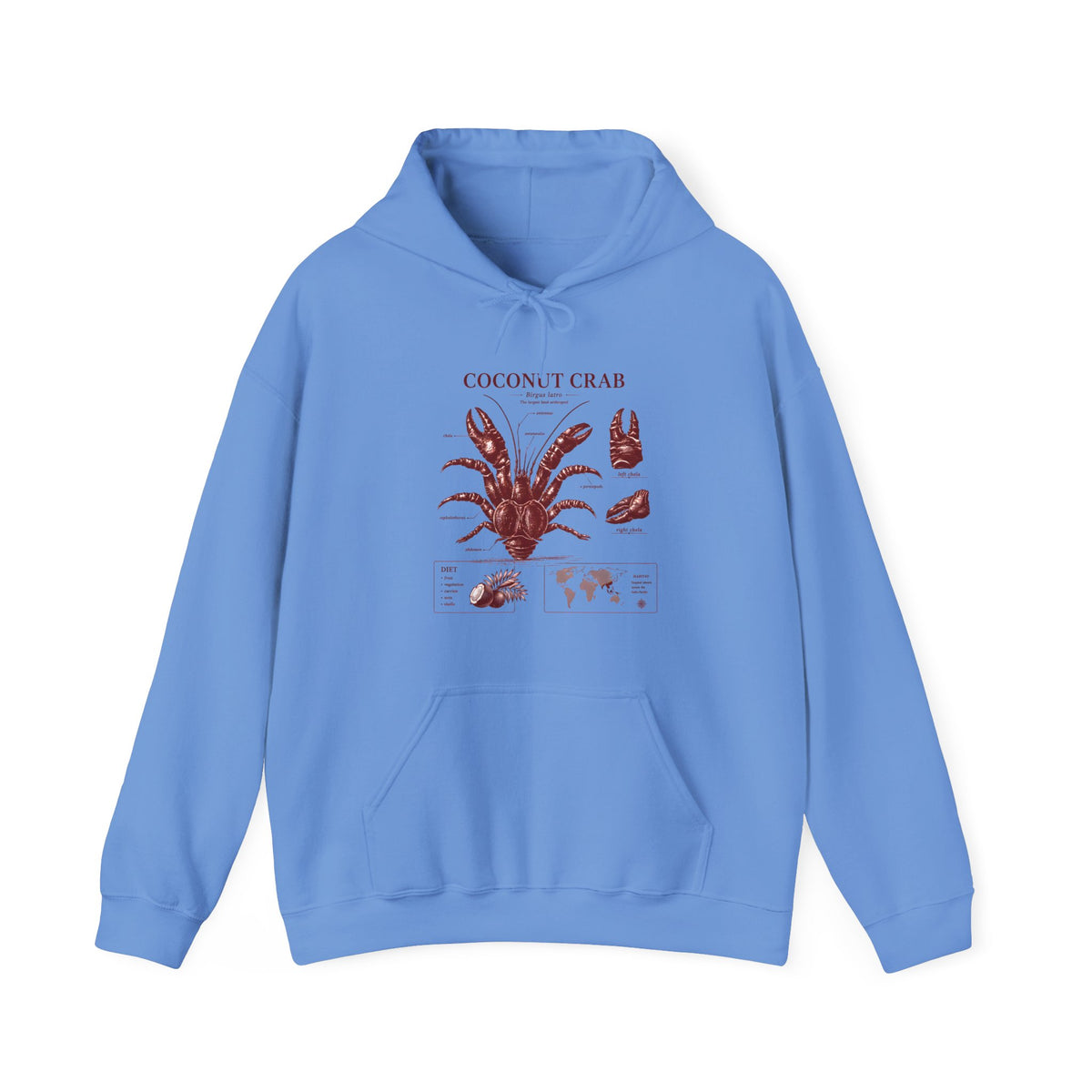 Coconut Crab Anatomy Hoodie — Vintage Botanical & Marine Study Print