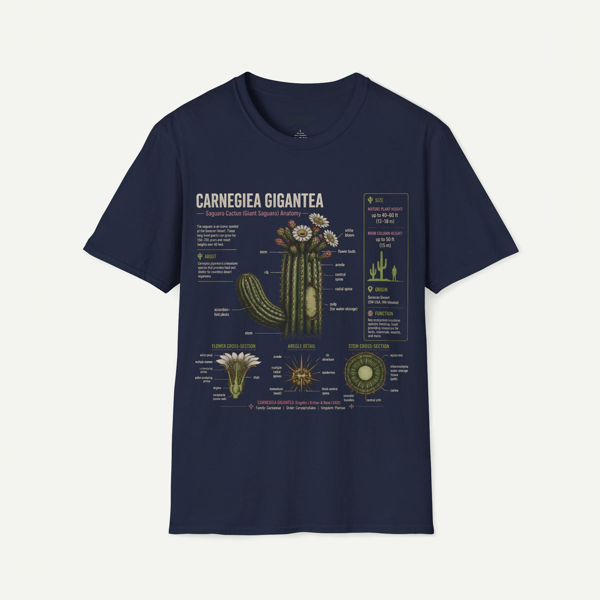 Carnegiea Gigantea Cactus Anatomy T-Shirt — Saguaro Plant Illustration Tee Main image