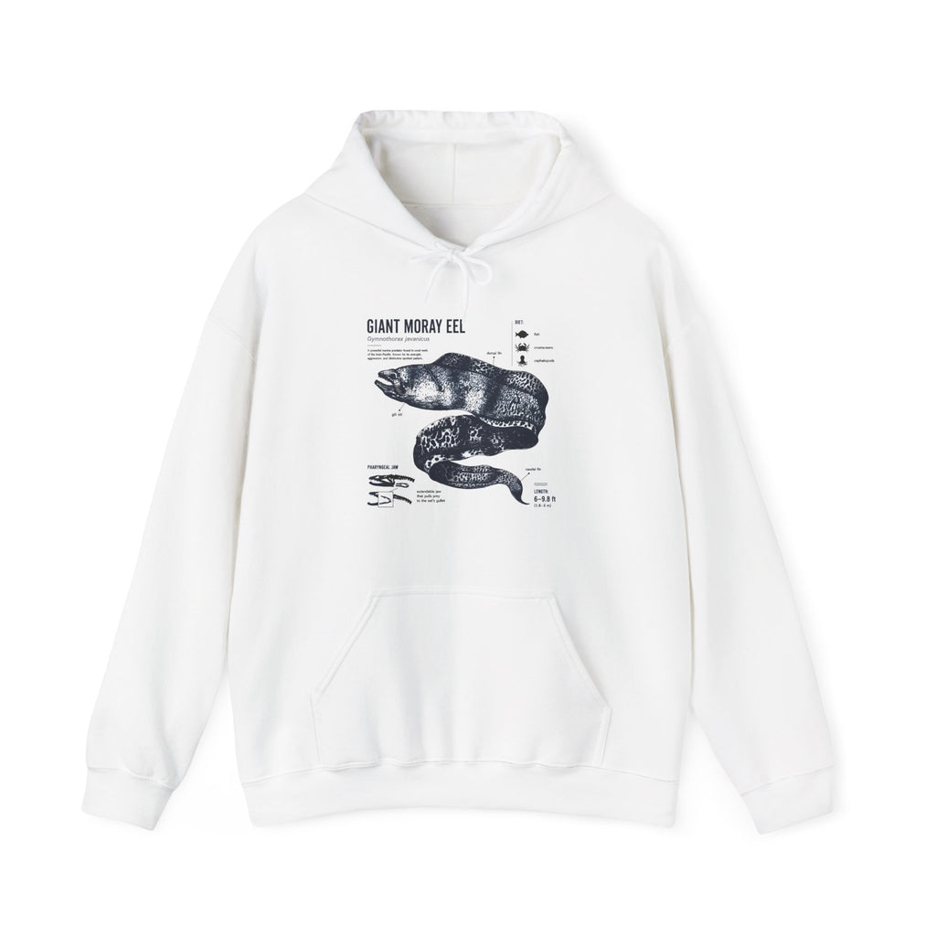 Sea Snake Diagram Hoodie - Vintage Scientific Illustration Sweatshirt