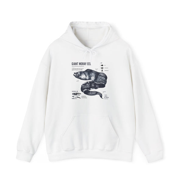 Sea Snake Diagram Hoodie - Vintage Scientific Illustration Sweatshirt