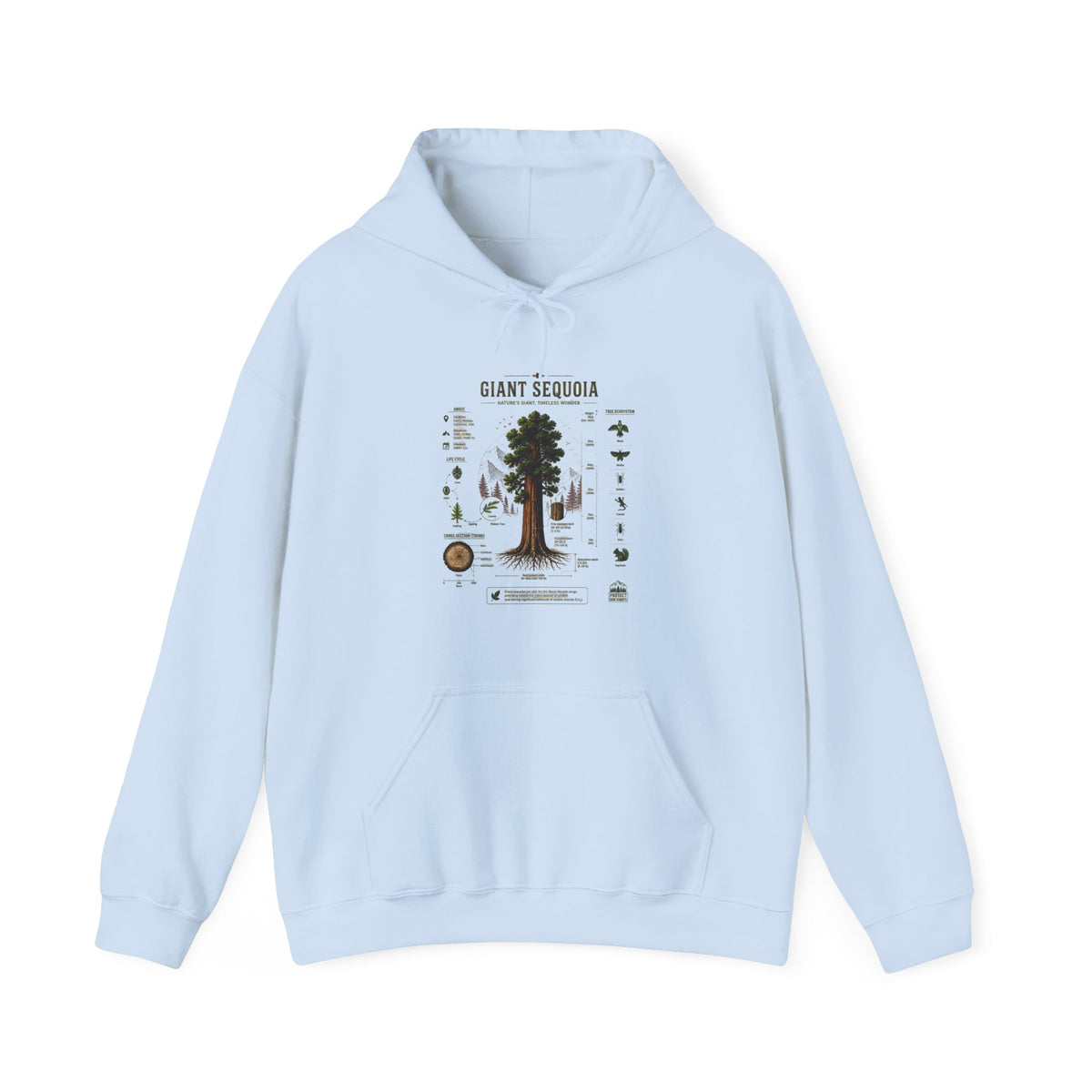 Giant Sequoia Botanical Hoodie — Vintage Tree Illustration & Facts
