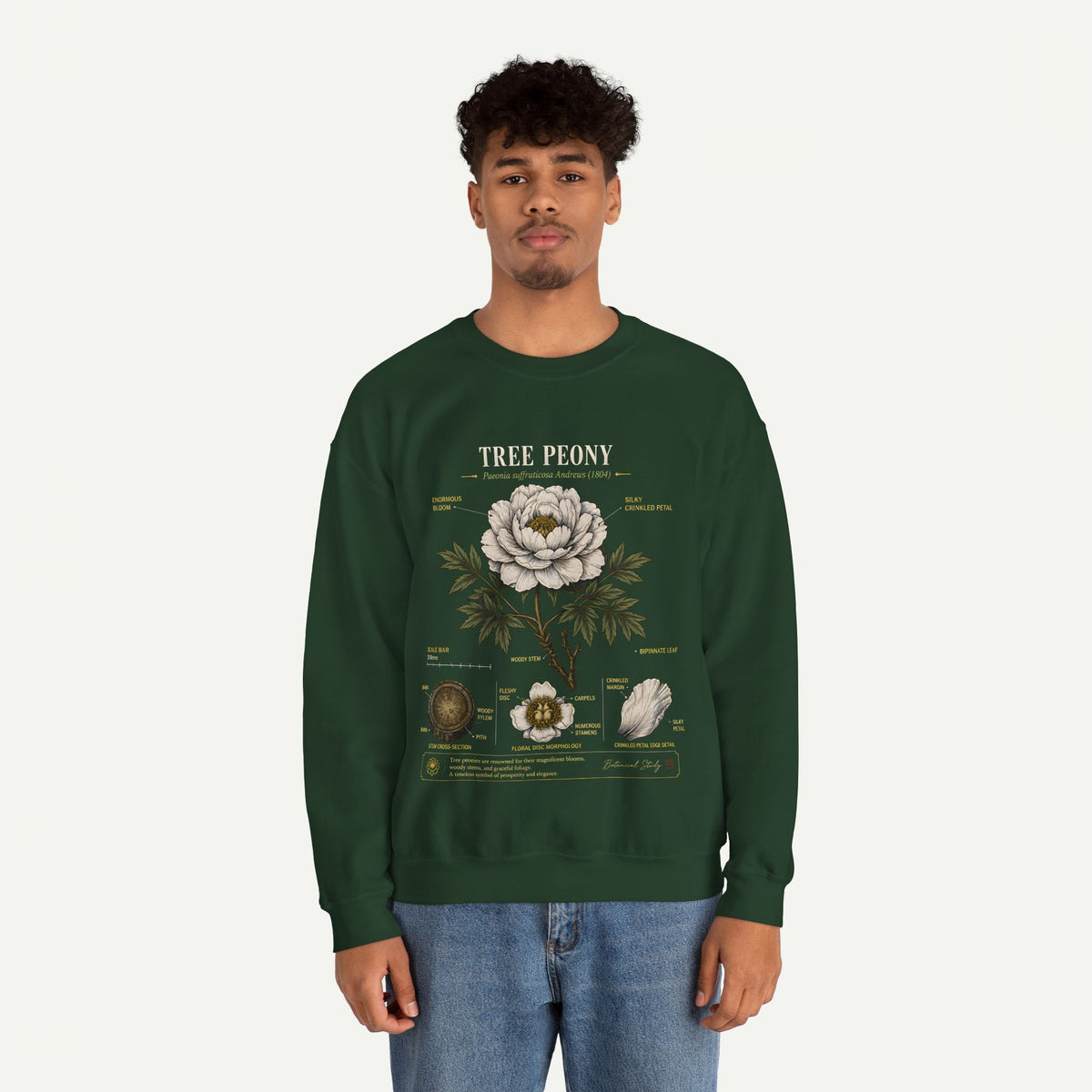 Tree Peony Botanical Sweatshirt — Vintage Flower Anatomy Crewneck