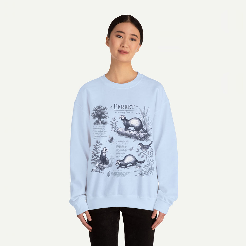 Ferret Anatomy Crewneck Sweatshirt — Vintage Wildlife Graphic