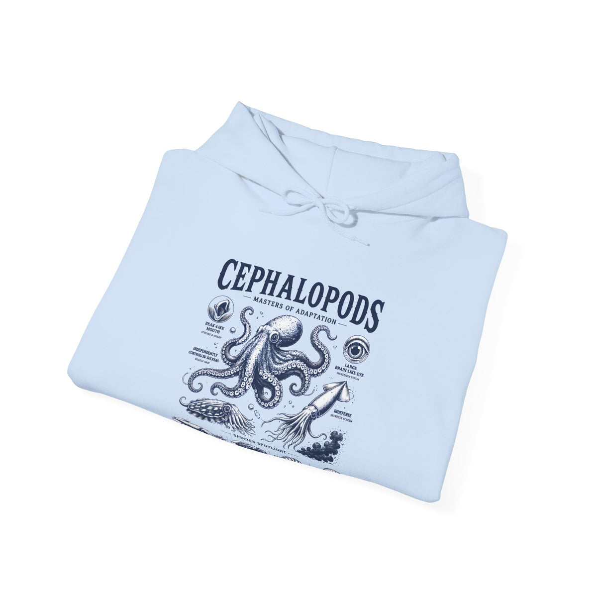 Cephalopods Hoodie — Vintage Marine Octopus Illustration Sweatshirt