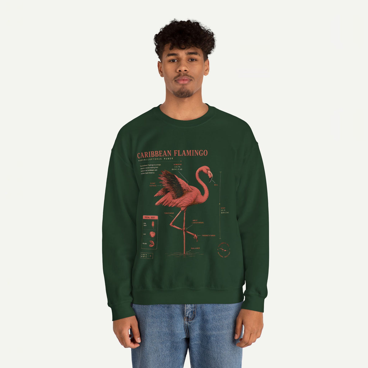 Flamingo Anatomy Field Guide Crewneck Sweatshirt