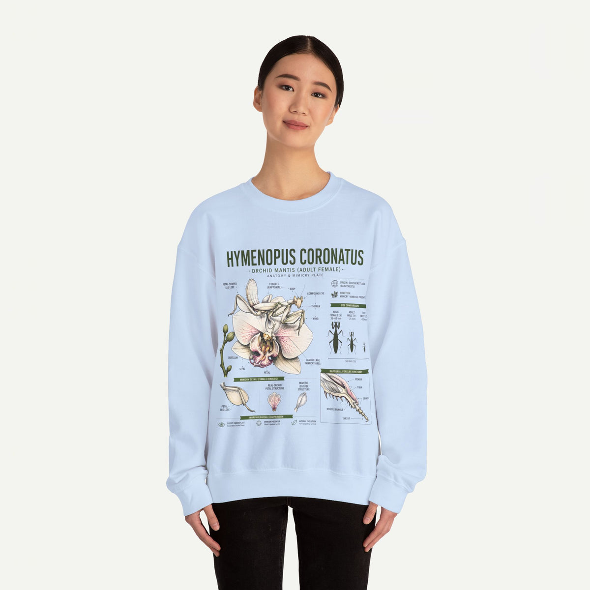 Botanical Anatomy Sweatshirt — Hymenopus Coronatus Illustration