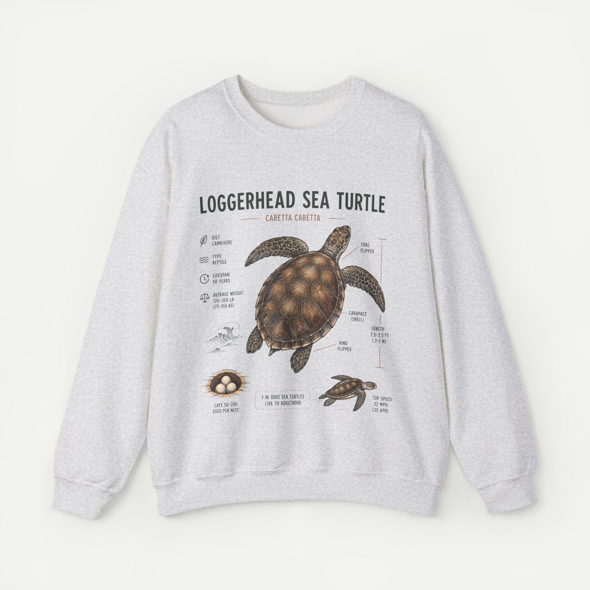 Loggerhead Sea Turtle Anatomy Sweatshirt — Marine Life Educational Crewneck Secondary image