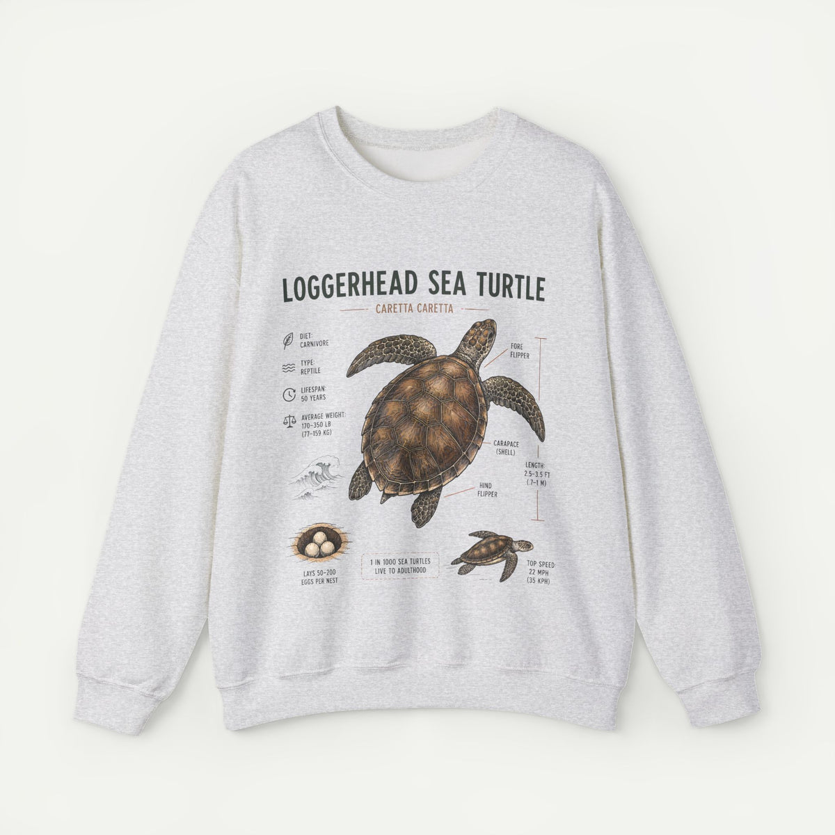 Loggerhead Sea Turtle Anatomy Sweatshirt — Marine Life Educational Crewneck