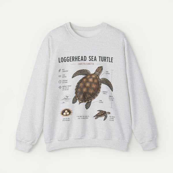 Loggerhead Sea Turtle Anatomy Sweatshirt — Marine Life Educational Crewneck