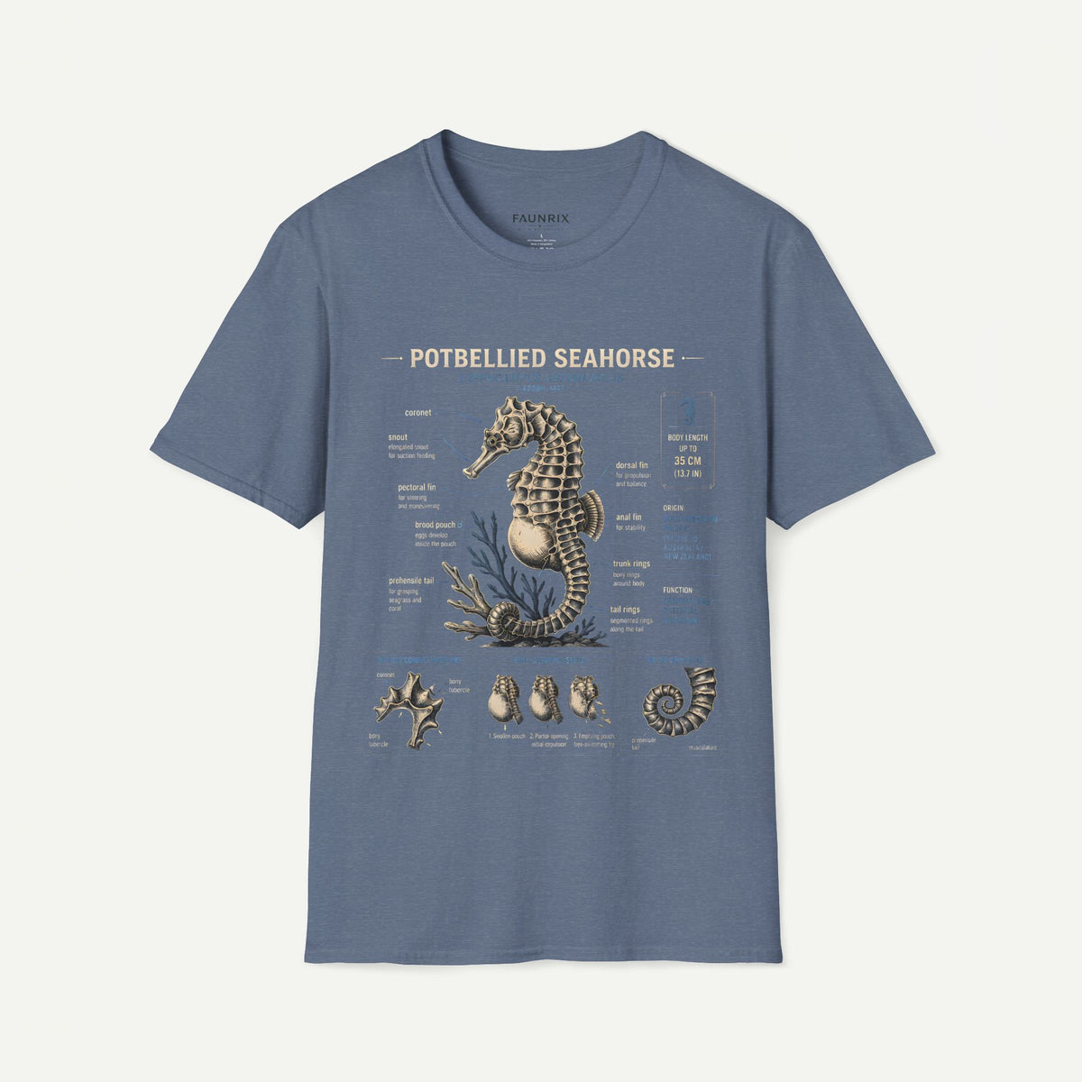 Seahorse Anatomy T-Shirt — Vintage Potbellied Seahorse Illustration