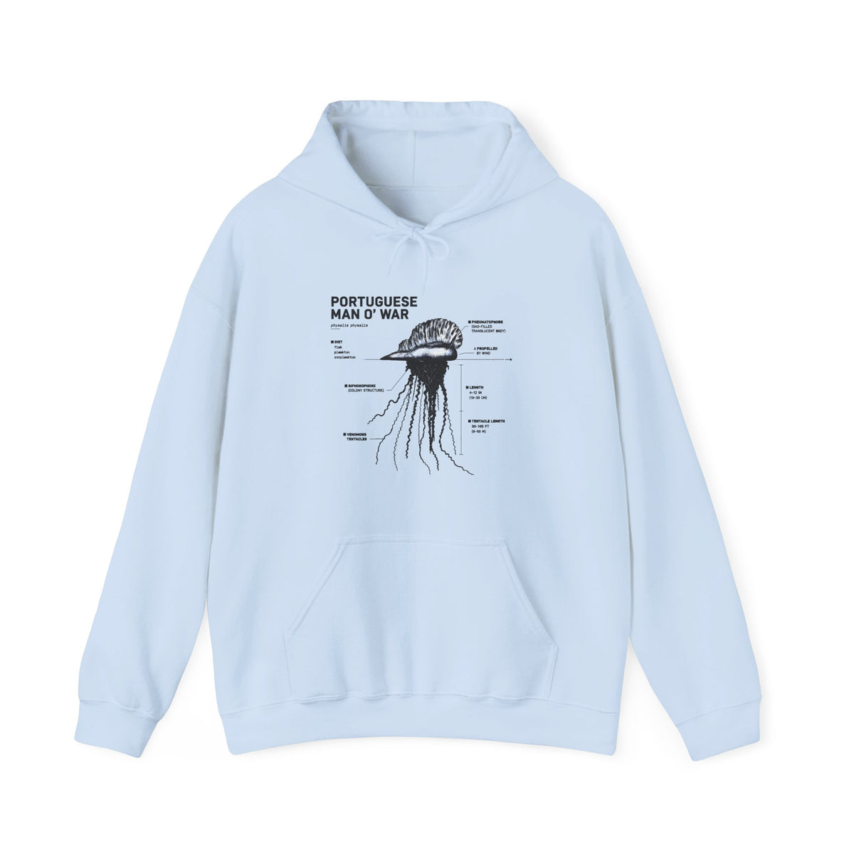 Unisex Heavy Blend™ Hooded Sweatshirt Main image