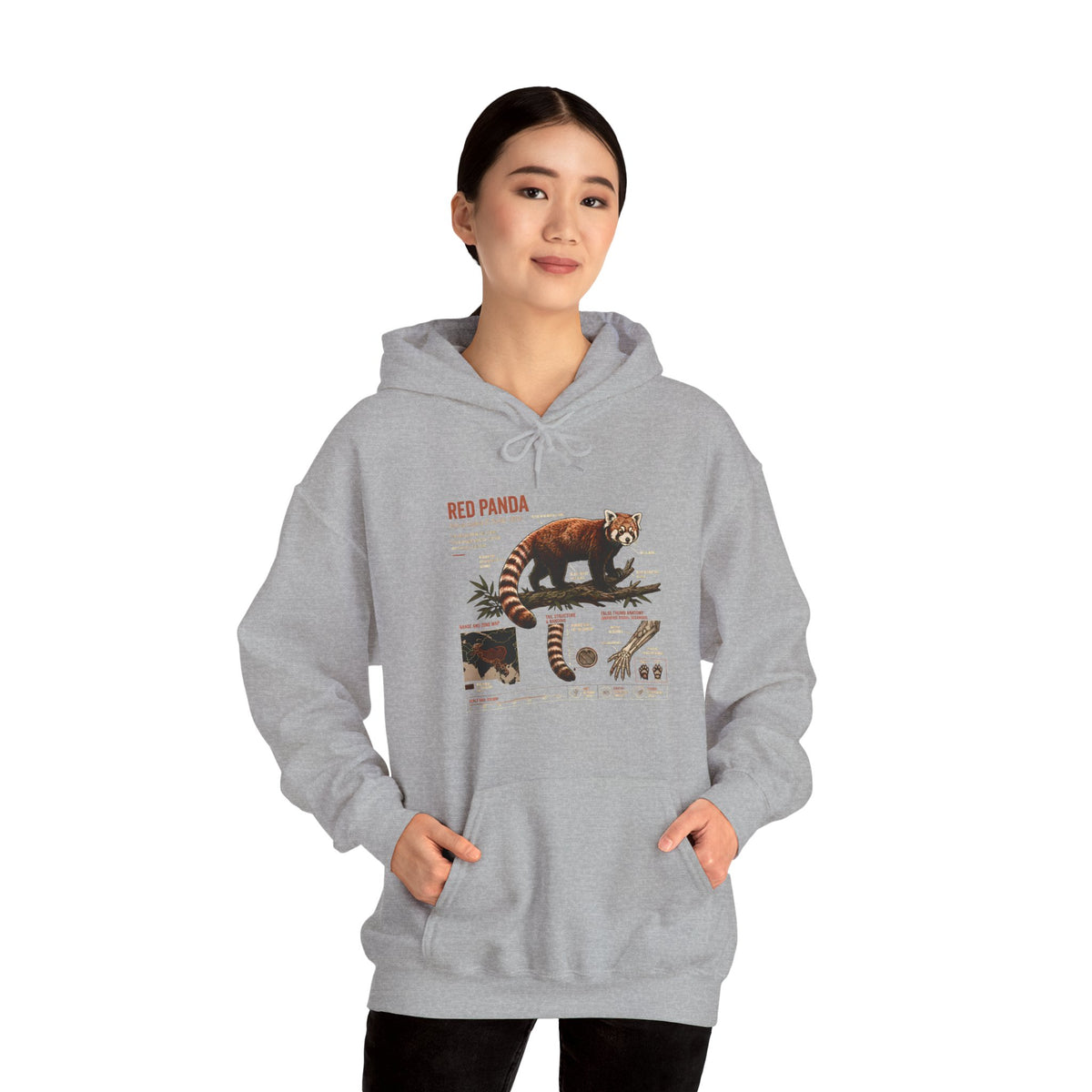 Red Panda Anatomy Hoodie — Vintage Wildlife Guide Sweatshirt
