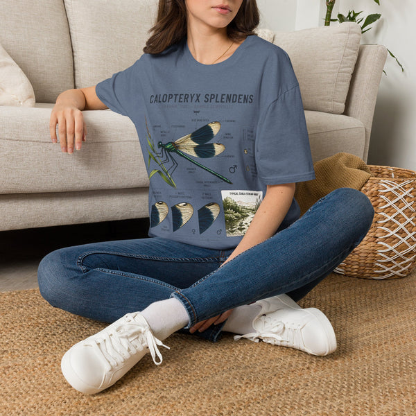 Calopteryx Splendens Anatomy T-Shirt