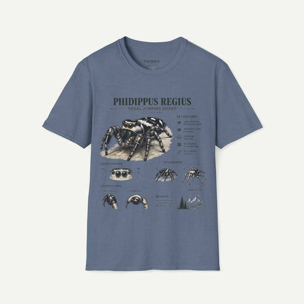 Phidippus Regius Jumping Spider Anatomy T-Shirt — Educational Arachnid Tee