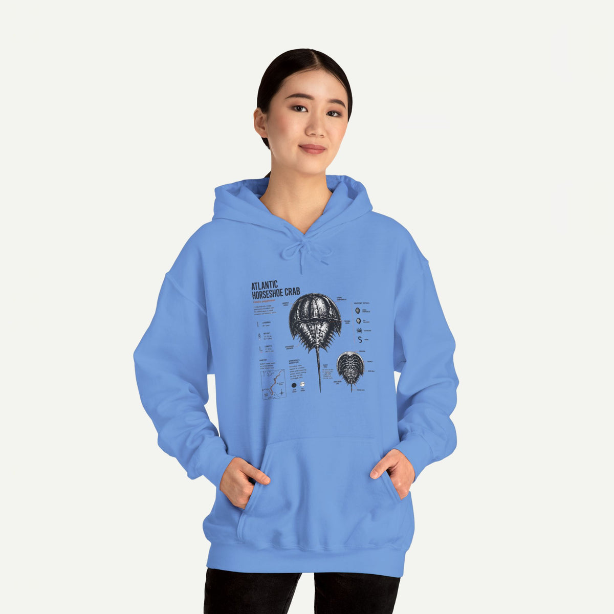 Horseshoe Crab Anatomy Hoodies