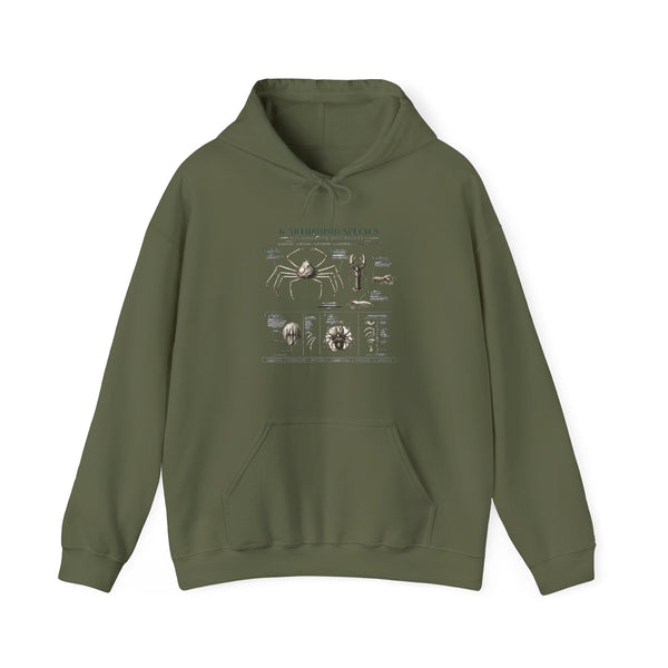 Arthropod Species Hoodie – Vintage Scientific Diagram Sweatshirt