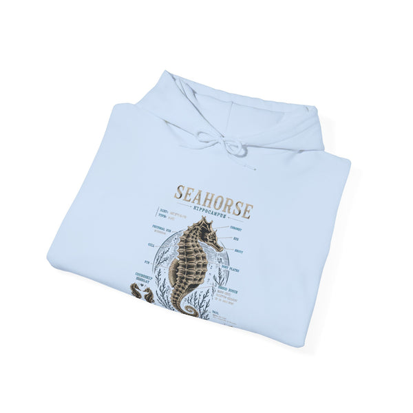 Seahorse Anatomy Hoodie — Vintage Marine Illustration Sweatshirt