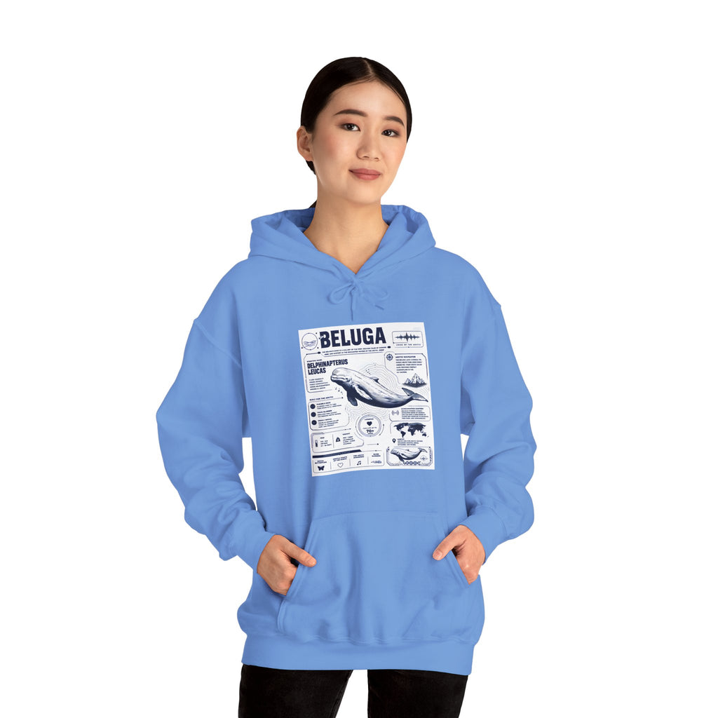 Beluga Whale Graphic Hoodie - Marine Life Diagram Sweatshirt