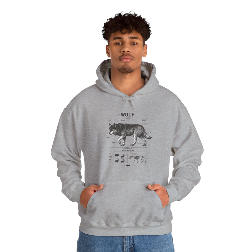 Wolf Anatomy Hoodie – Vintage Wildlife Diagram Sweatshirt