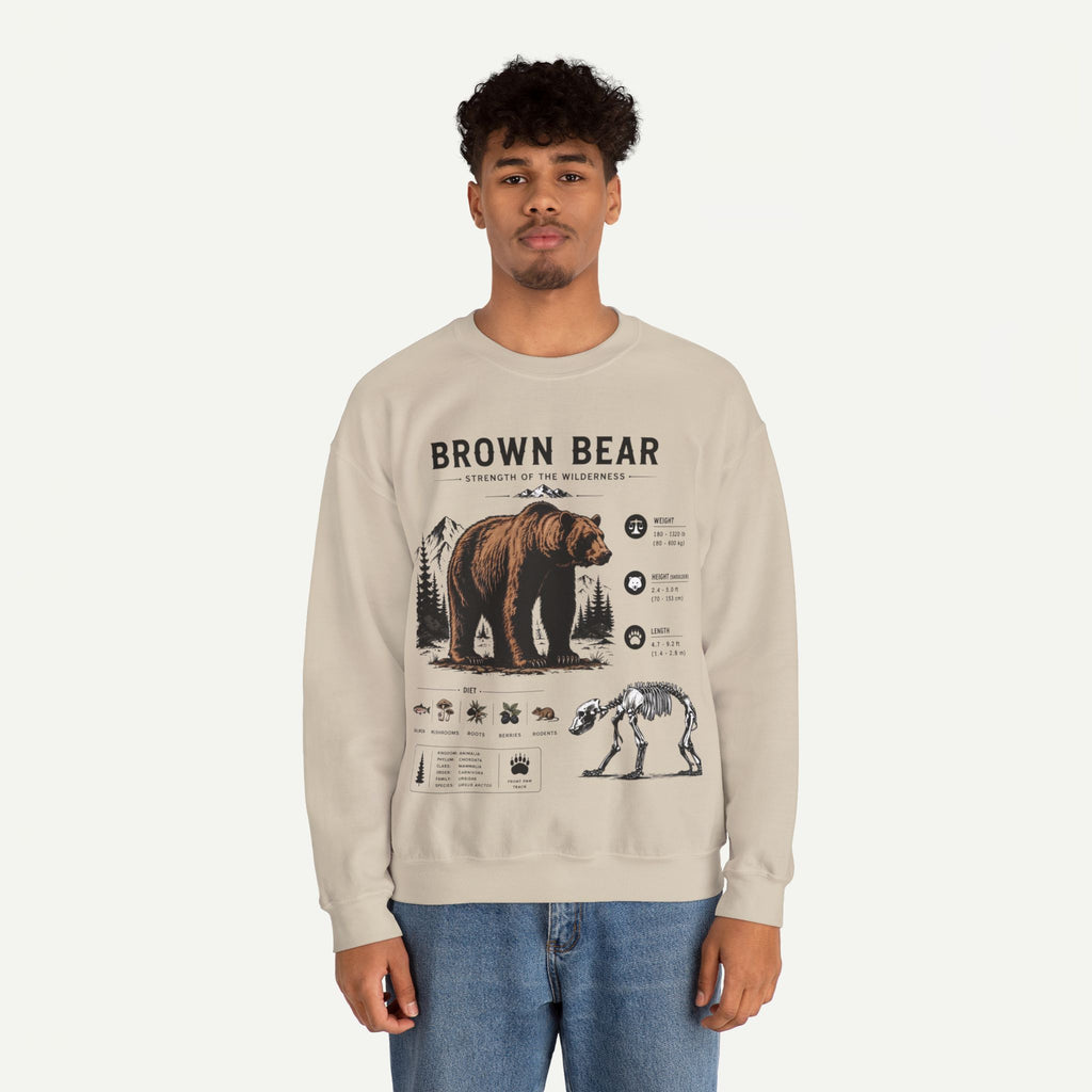 Brown Bear Anatomy Sweatshirt — Wildlife Illustration Graphic Sweatshirt
