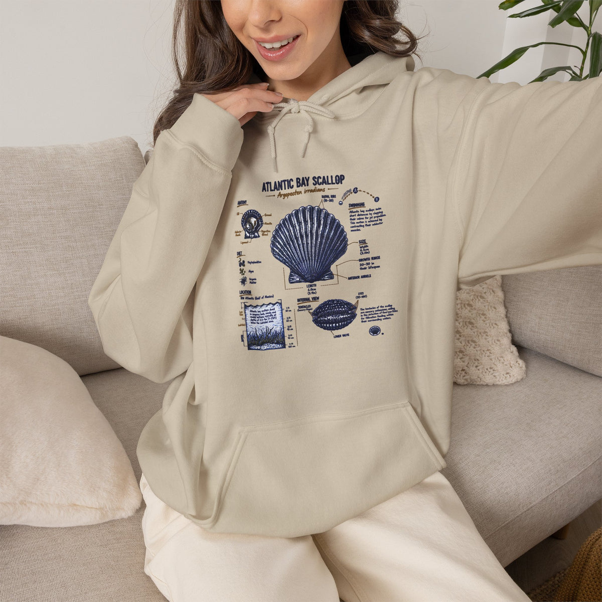 Seashell Anatomy Hoodie – Nautical Beach Diagram Sweatshirt