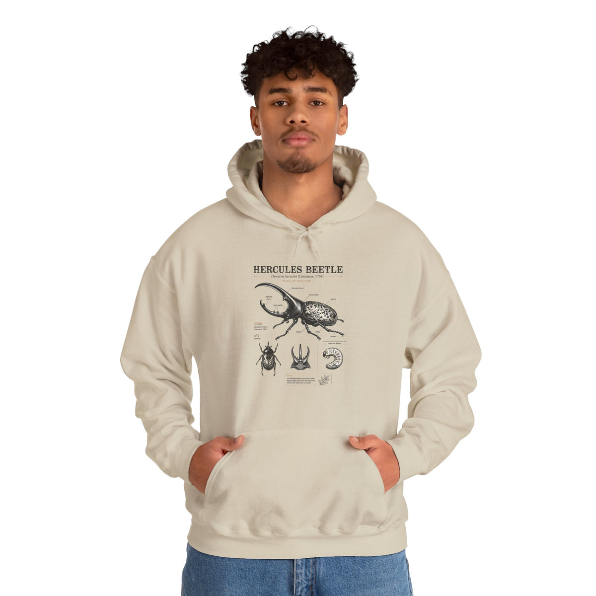 Hercules Beetle Anatomy Hoodie — Vintage Entomology Illustration Sweatshirt