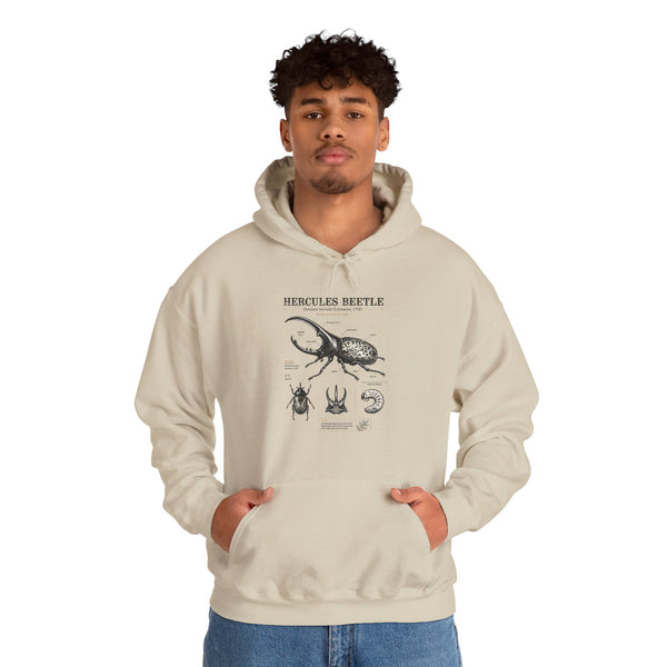 Hercules Beetle Anatomy Hoodie — Vintage Entomology Illustration Sweatshirt