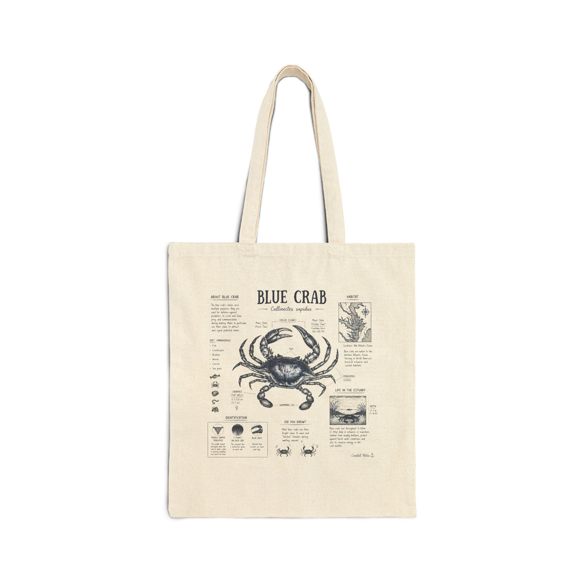 Blue Crab Anatomy Canvas Tote Bag — Nautical Vintage Seafood Diagram Shopper Main image
