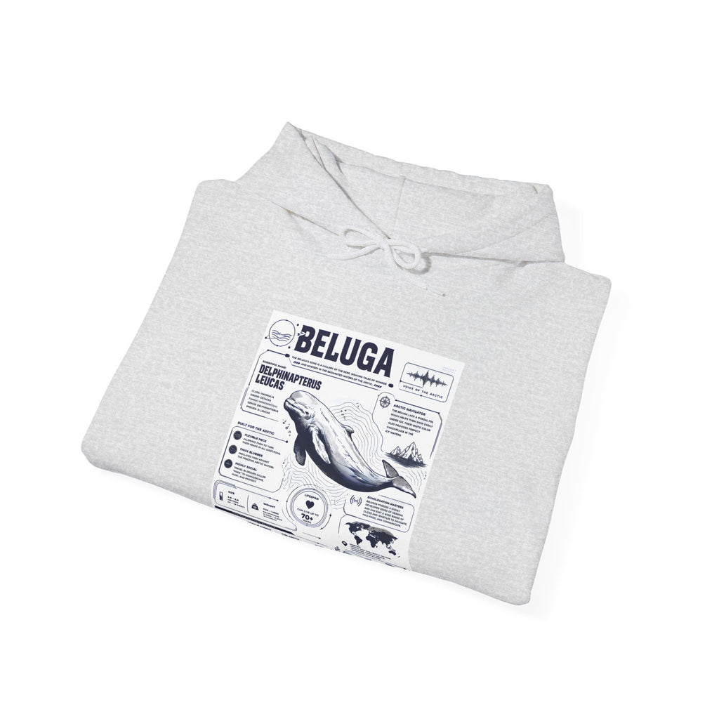 Beluga Whale Graphic Hoodie - Marine Life Diagram Sweatshirt