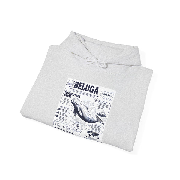Beluga Whale Graphic Hoodie - Marine Life Diagram Sweatshirt