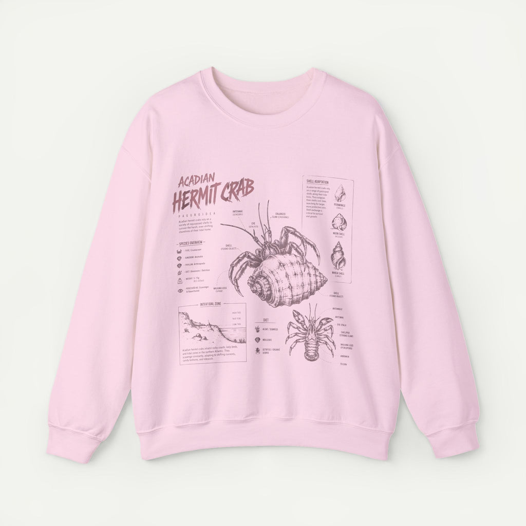 Hermit Crab Anatomy Sweatshirt — Acadian Hermit Crab Illustration