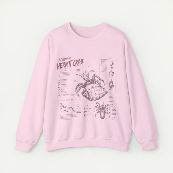 Hermit Crab Anatomy Sweatshirt — Acadian Hermit Crab Illustration