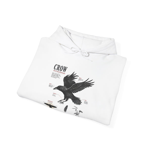 Crow Anatomy Hoodie — Vintage Raven Diagram Hooded Sweatshirt
