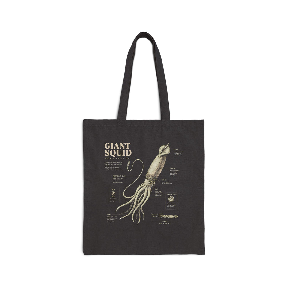 Giant Squid Anatomy Canvas Tote Bag — Vintage Nautical Science Illustration Main image