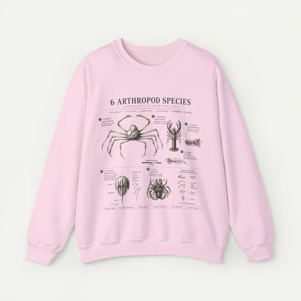 Arthropod Species Crewneck Sweatshirt — Vintage Scientific Bug Anatomy Pullover