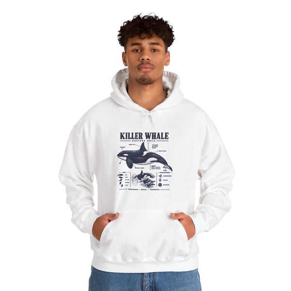 Killer Whale Anatomy Hoodie — Orca Scientific Diagram Sweatshirt