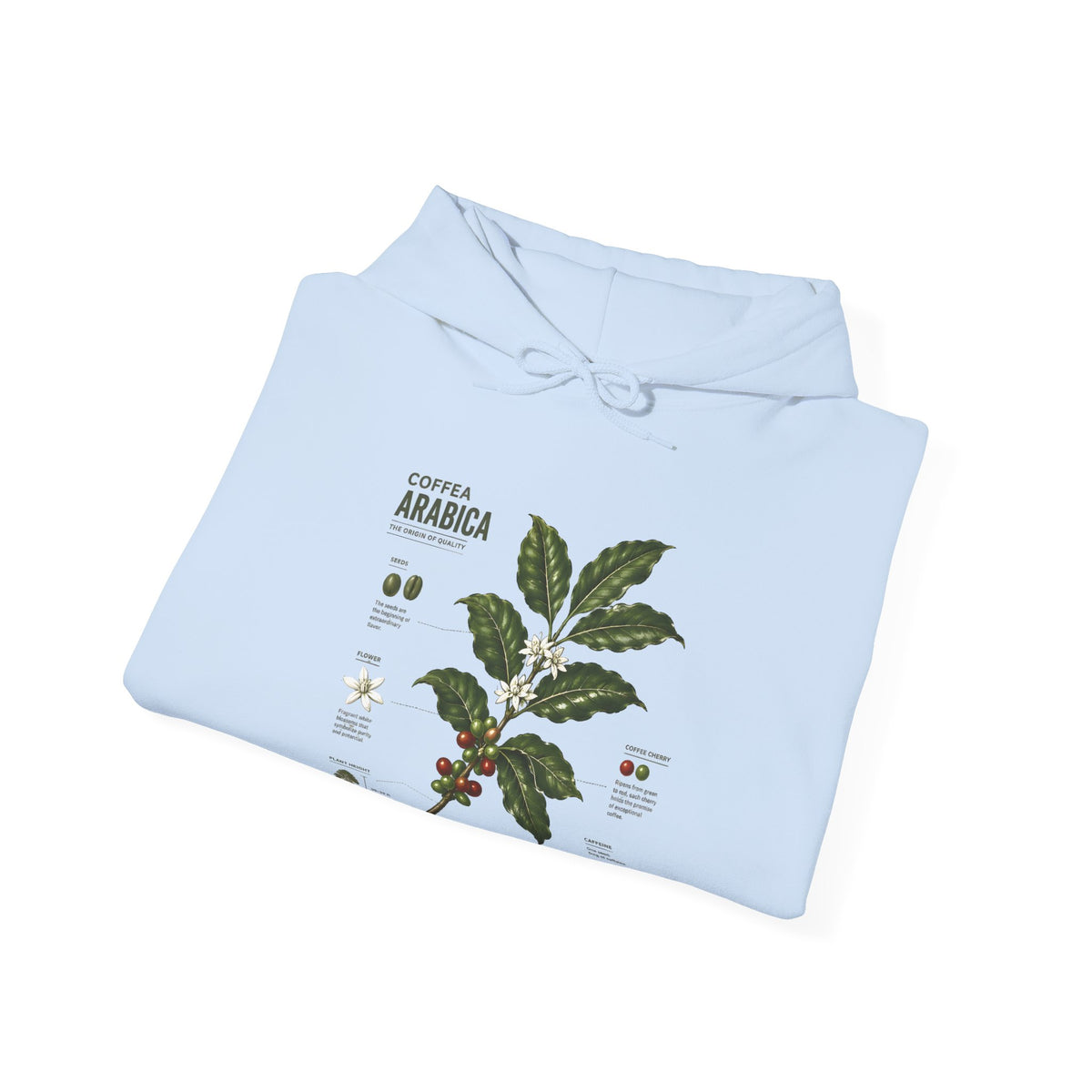 Coffee Plant Hoodie — Coffea Arabica Botanical Illustration Sweatshirt