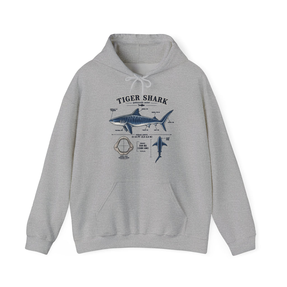 Tiger Shark Anatomy Hoodie — Nautical Science Graphic Pullover