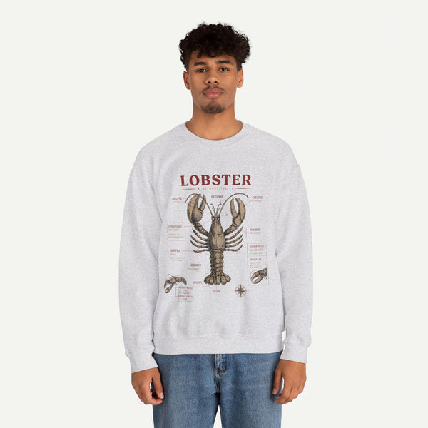 Lobster Anatomy Crewneck Sweatshirt