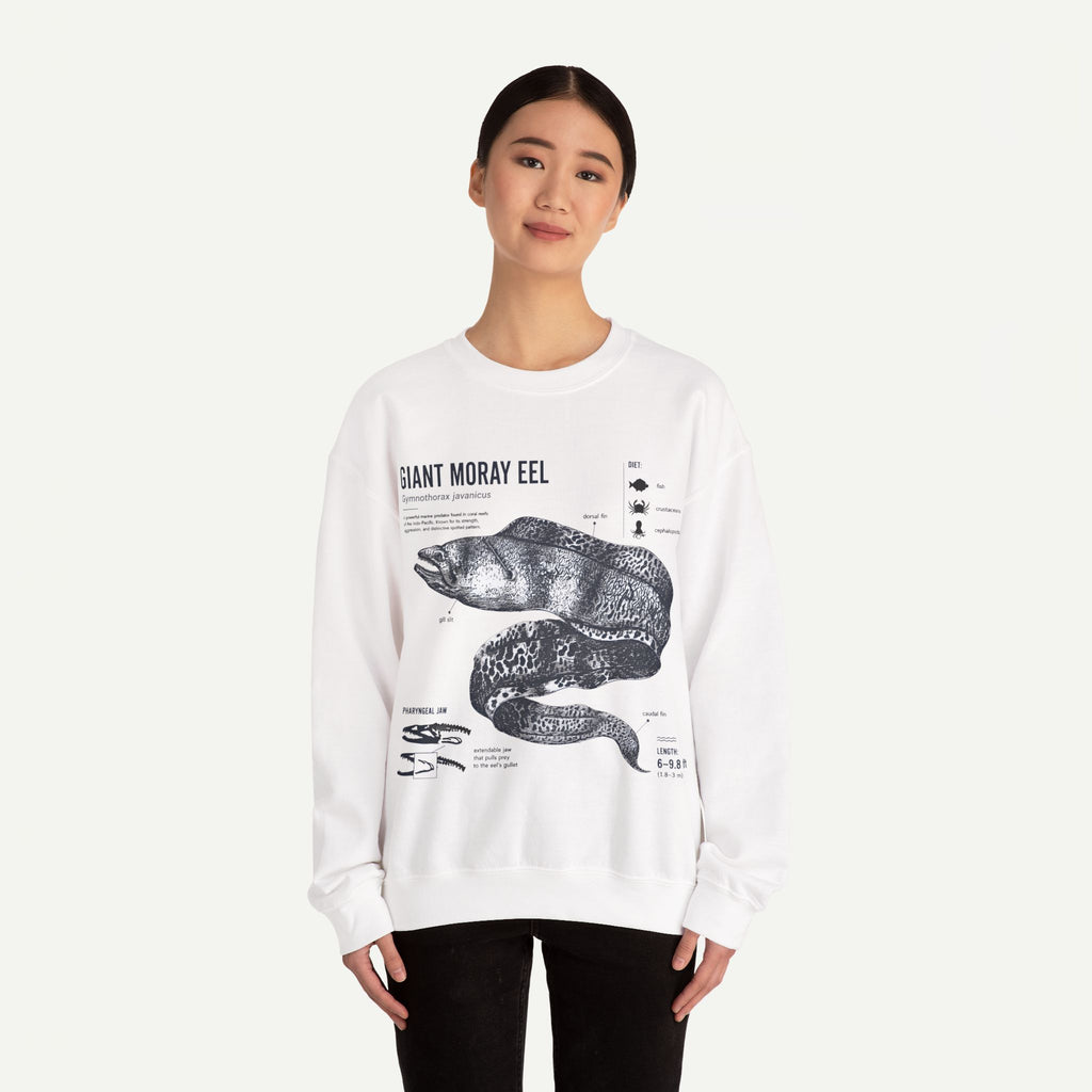Giant Moray Eel Anatomy Sweatshirt