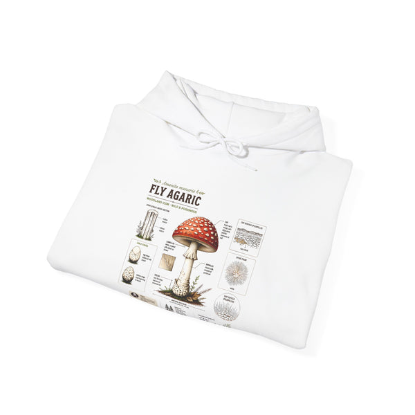 Fly Agaric Mushroom Hoodie – Vintage Mycology Diagram Sweatshirt