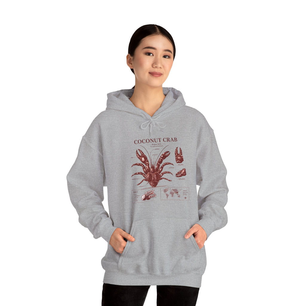 Coconut Crab Anatomy Hoodie — Vintage Botanical & Marine Study Print
