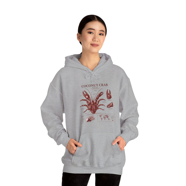 Coconut Crab Anatomy Hoodie — Vintage Botanical & Marine Study Print