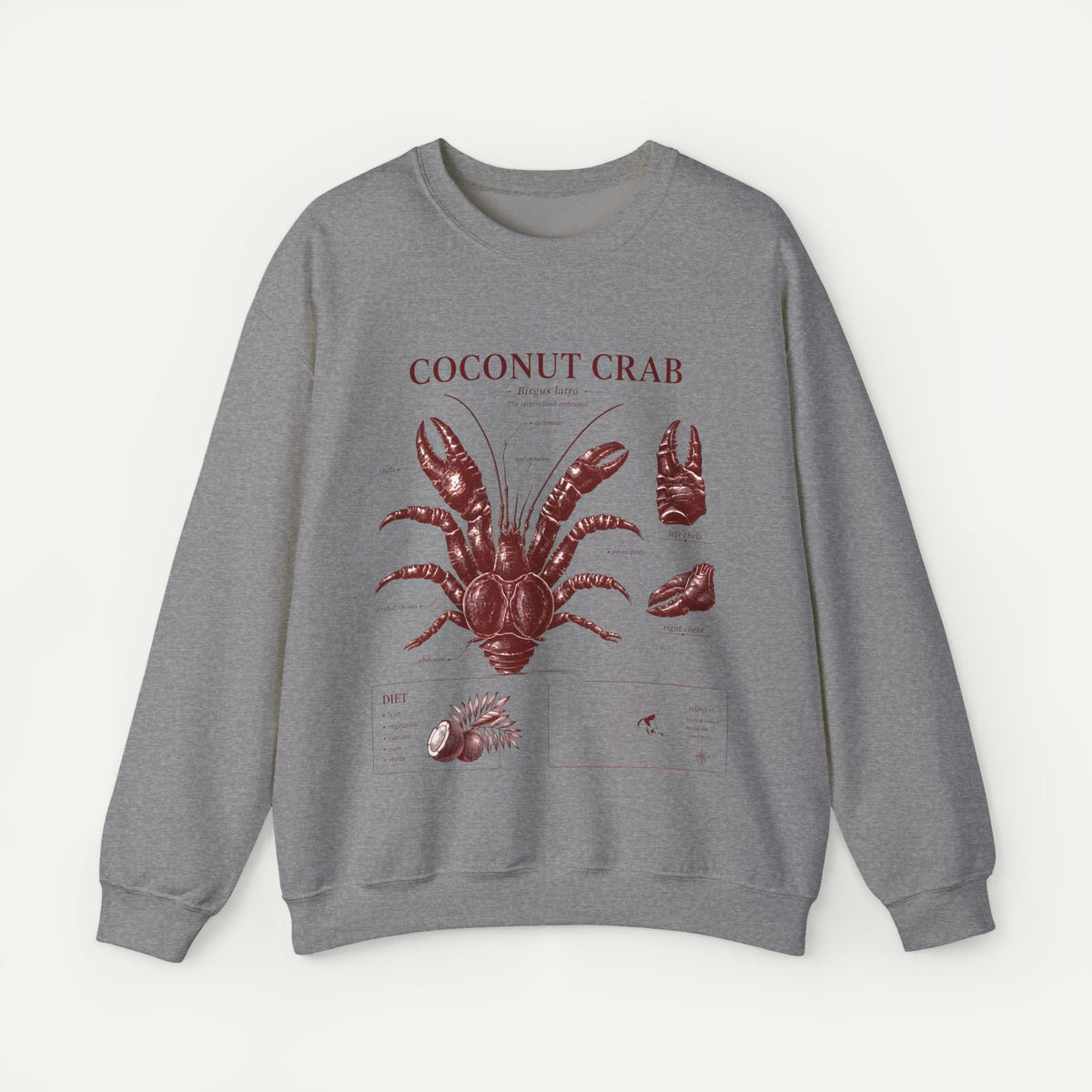 Coconut Crab Anatomy Crewneck Sweatshirt