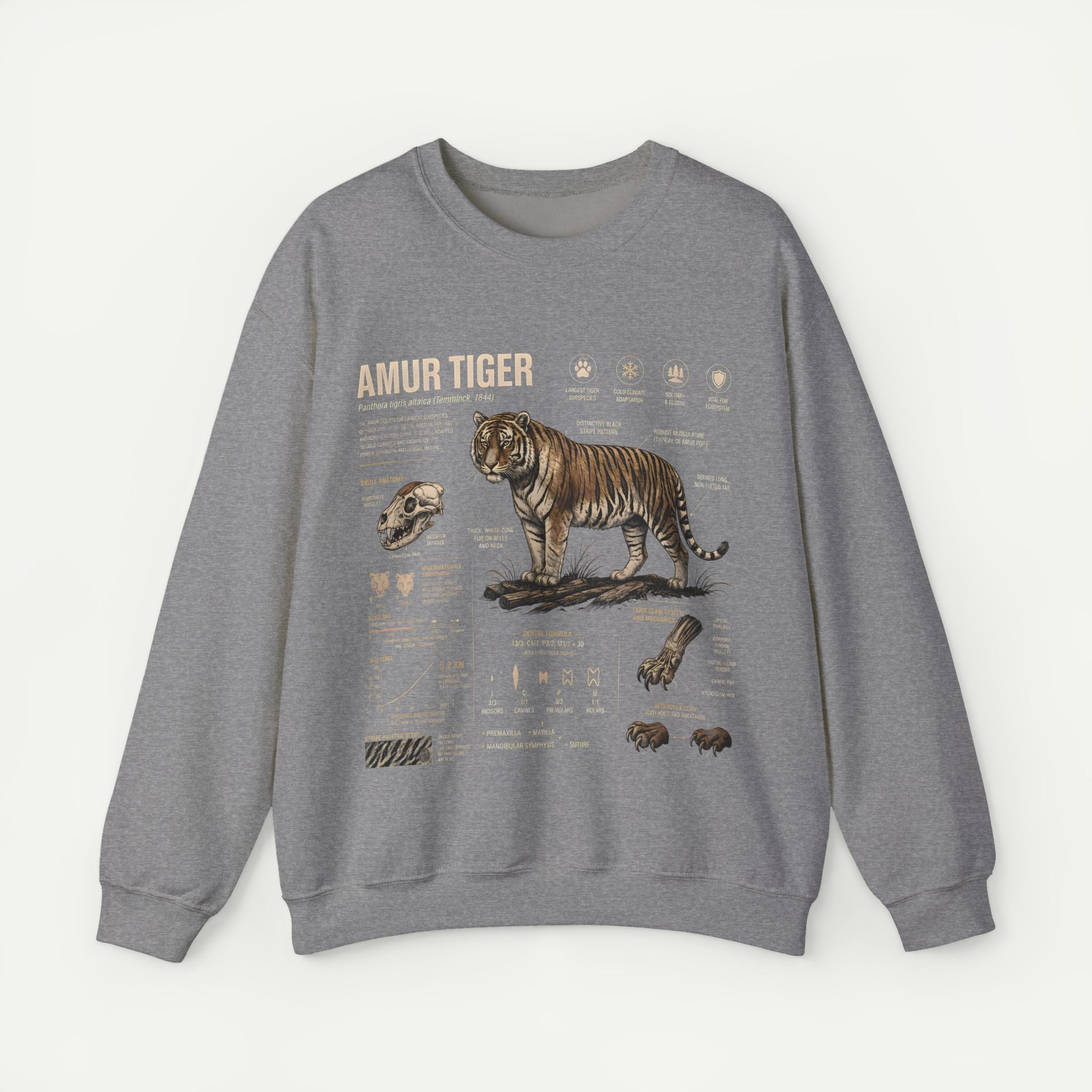 Amur Tiger Anatomy Sweatshirt — Wildlife Illustration Crewneck Secondary image