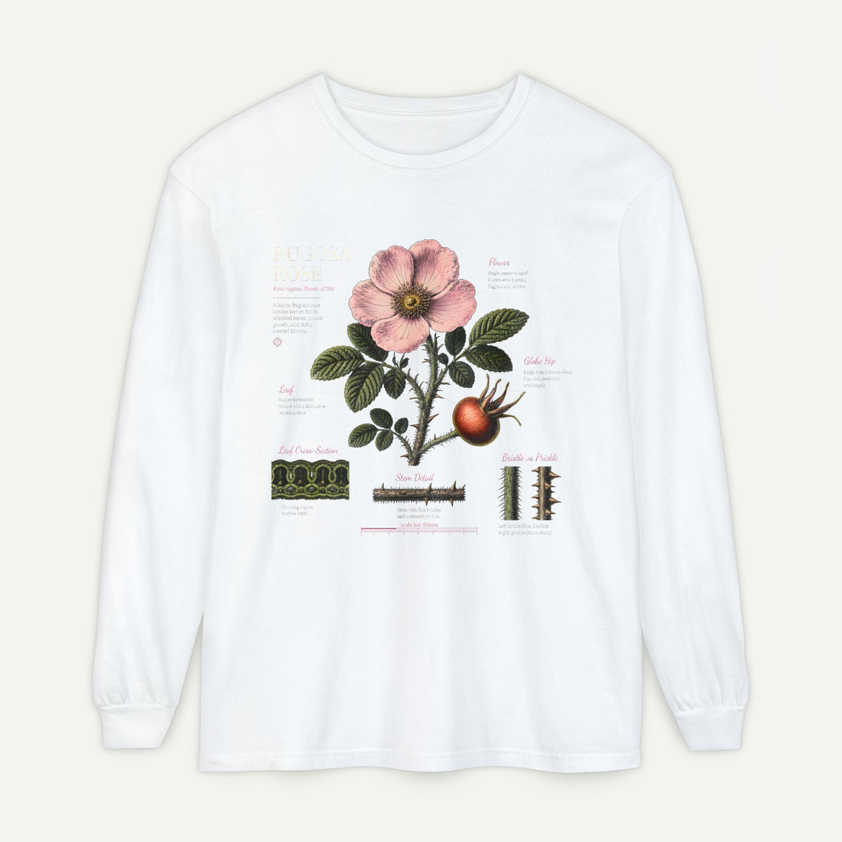 Botanical Rose Hip Anatomy Long Sleeve Tee