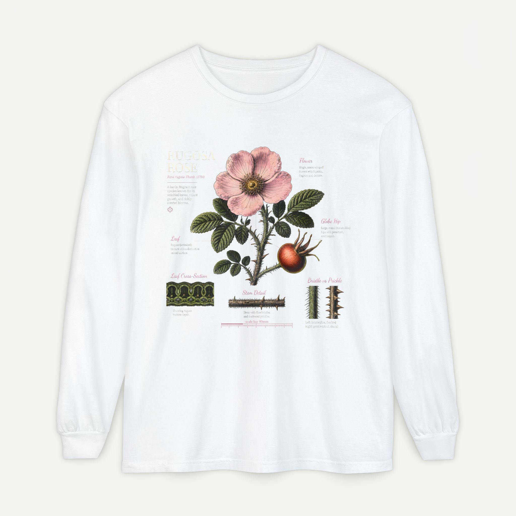 Botanical Rose Diagram Long Sleeve T-Shirt Secondary image