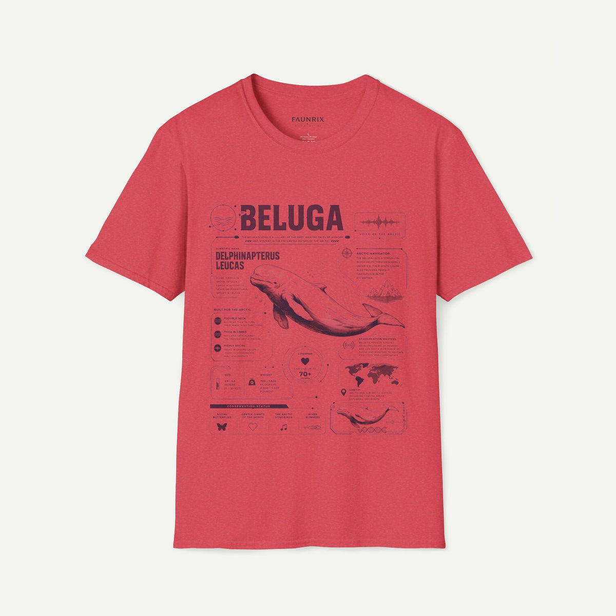 Beluga Whale Anatomy T-Shirt — Marine Life Illustration Tee Delphinapterus leucas Main image