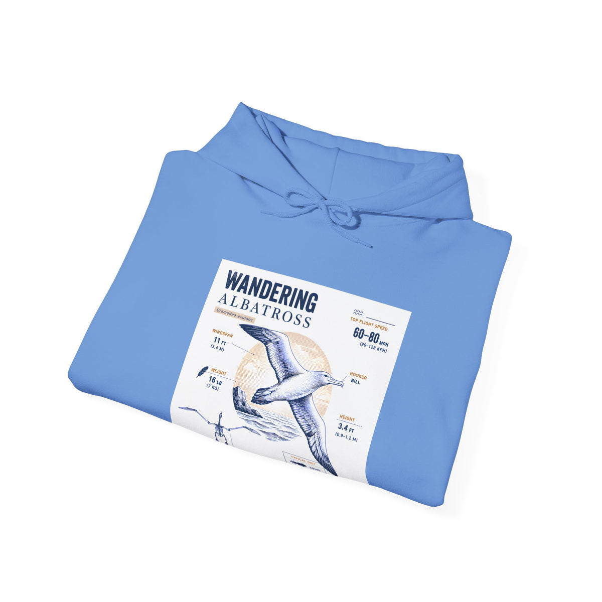 Wandering Albatross Hoodie — Illustrated Sea Bird Anatomy Pullover