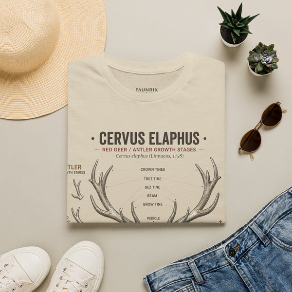Deer Antler Anatomy T-Shirt — 'Cervus Elaphus' Educational Graphic